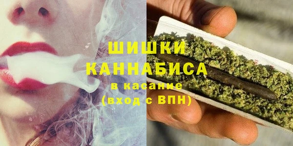 шишки Алексеевка