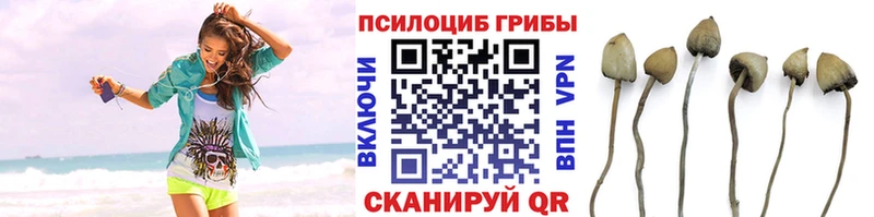 Псилоцибиновые грибы GOLDEN TEACHER  Жуковский 