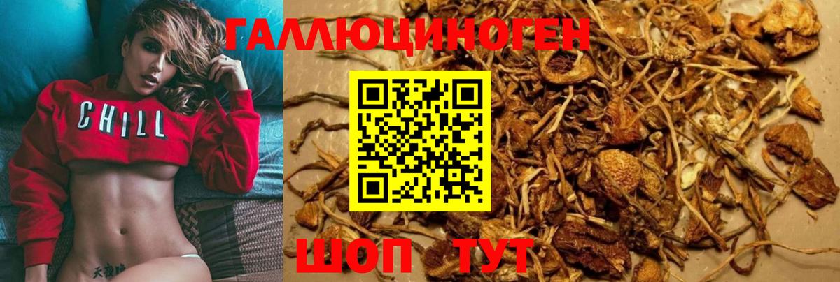 цены   Вход с VPN  Жуковский  Галлюциногенные грибы Psilocybe 
