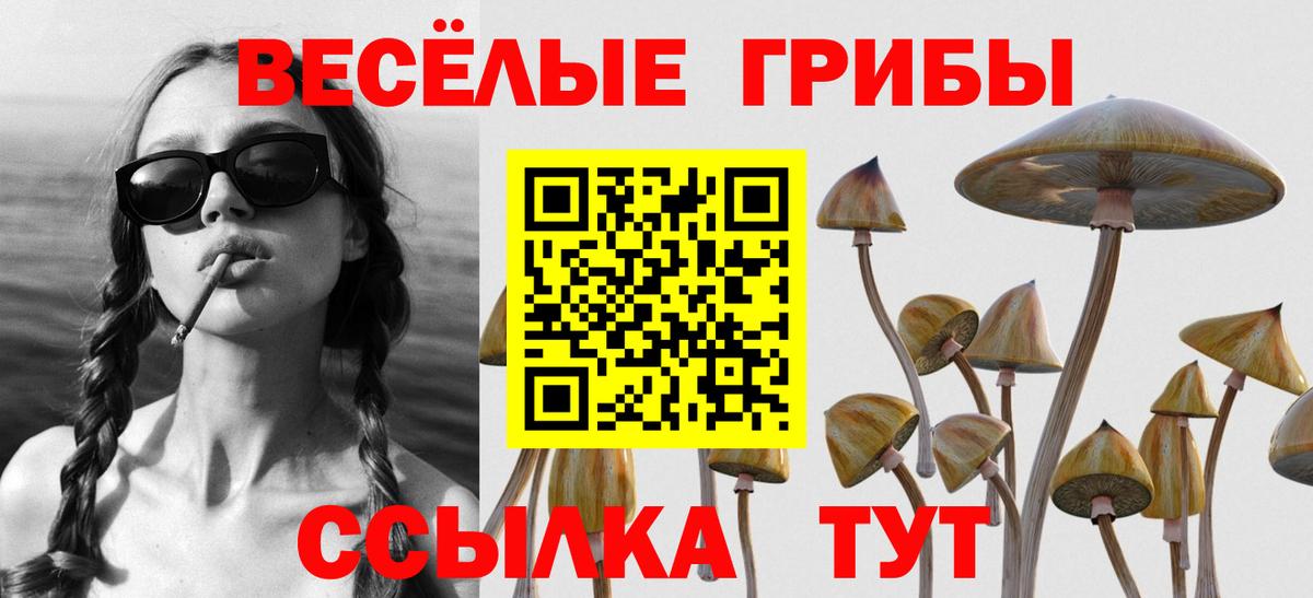 Галлюциногенные грибы мухоморы Жуковский