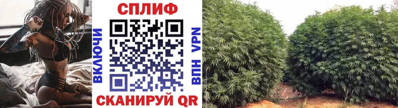 Бошки марихуана ГИДРОПОН  Жуковский 